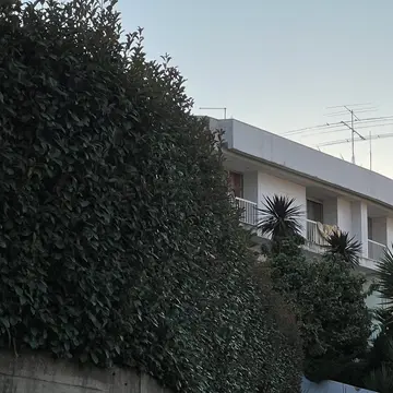 I can see my house from here #hamradio