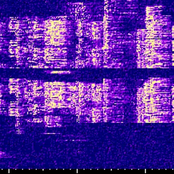 Huge pileup for TT8TT on #qo100 #amsat .655 SSB