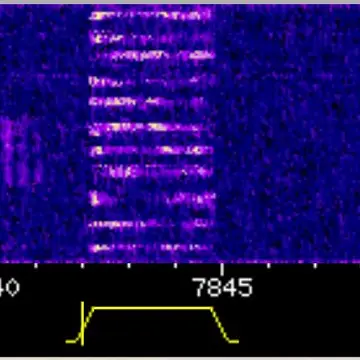 V32 Number Station in Farsi, on 7842u. Strong in Europe #swl #numberstations
